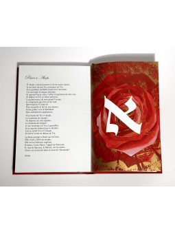 Rencontres avec la Splendeur