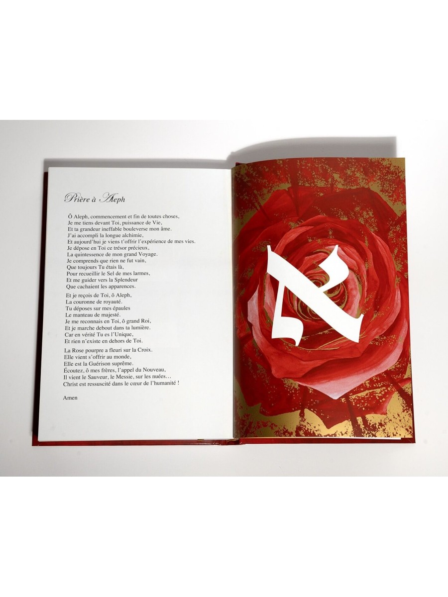 Rencontres avec la Splendeur